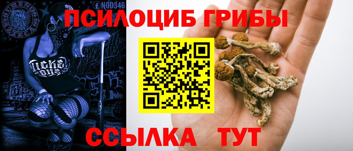 Псилоцибиновые грибы мухоморы  Вход с VPN  Ликино-Дулёво  где найти   Галлюциногенные грибы GOLDEN TEACHER 